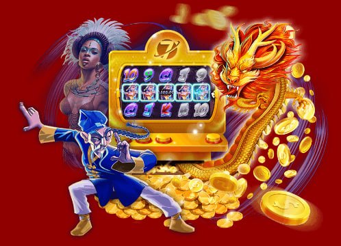 s786 Bingo