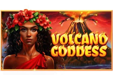 s786 Slot Room Categories